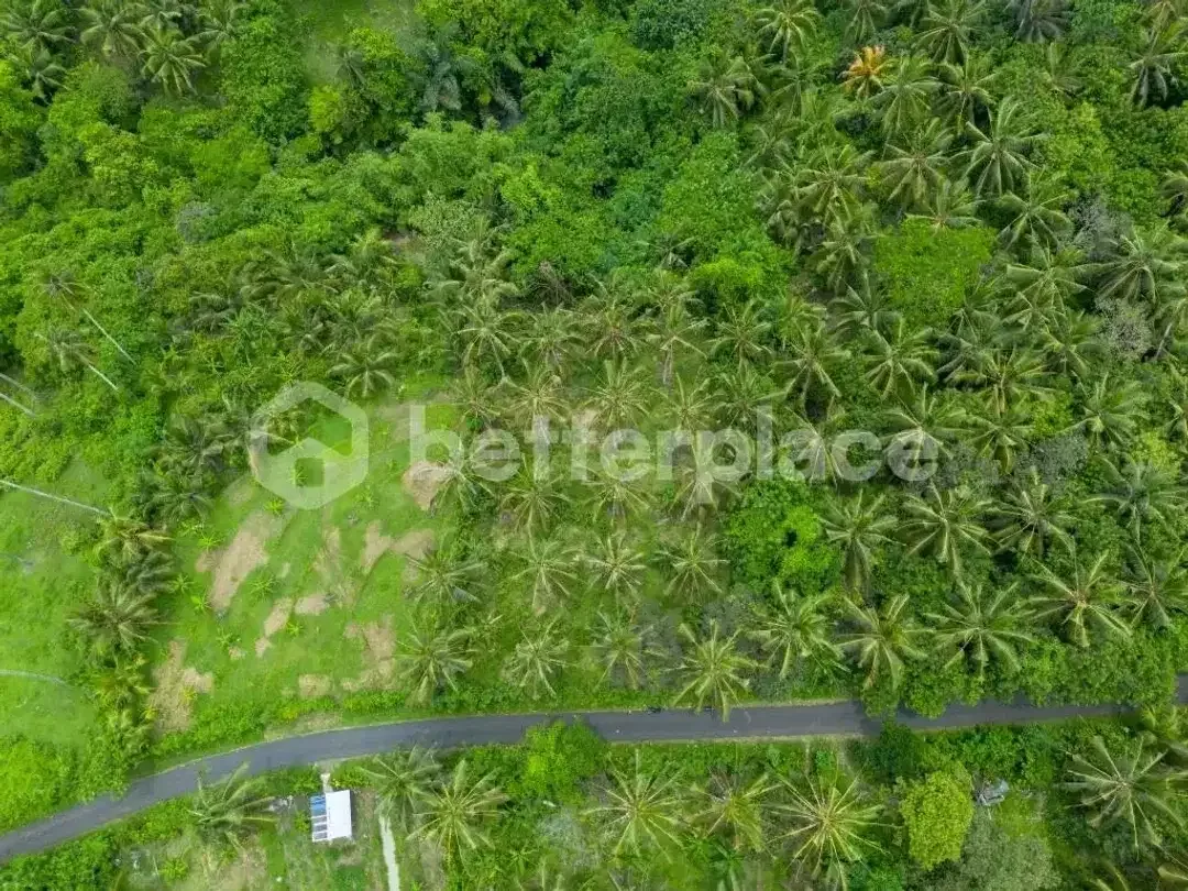 Prestigious 23.9 are Freehold Jungle Land in Balian – A Rare Investment Opportunity Blending Natural Serenity with Coastal Elegance - Image 8 of 10
