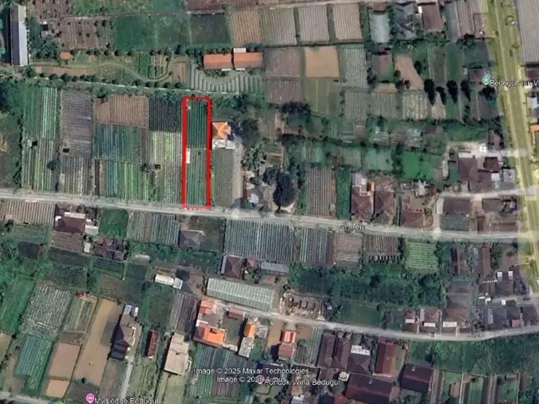 Tanah kebun zona residen cocok untuk investasi dan billa - Image 3 of 9