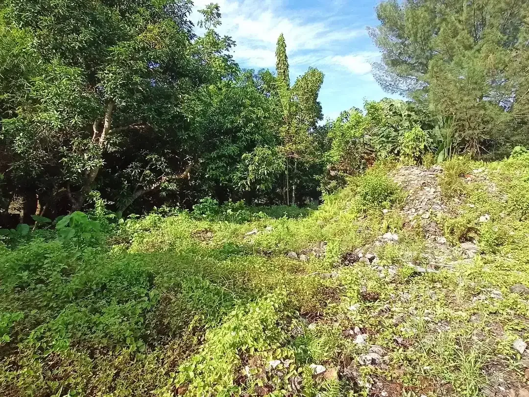 Freehold - Riverside Land for Sale in Prime Canggu, Bali Location - Image 3 of 8