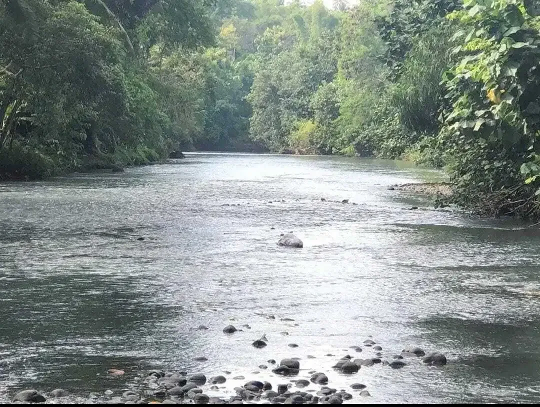 Dijual tanah dekat pantai surfing di medewi jembrana - Image 8 of 9