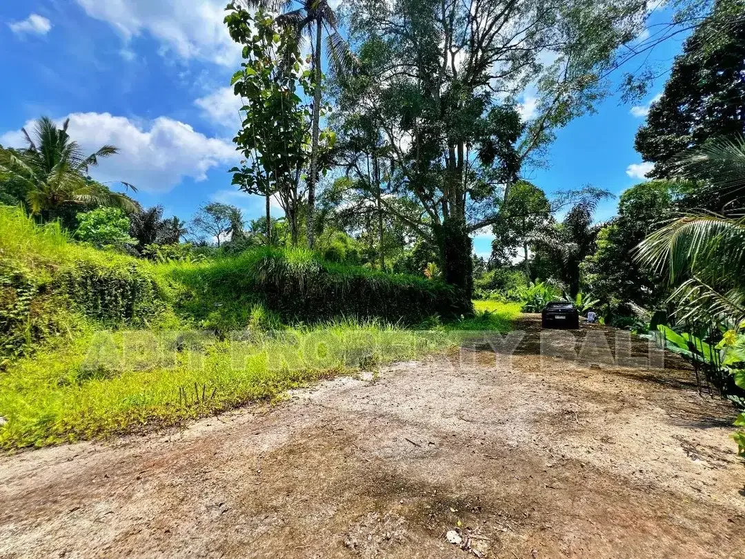 Tanah View Jungle & Sungai Payangan Ubud Gianyar Bali - Image 10 of 10