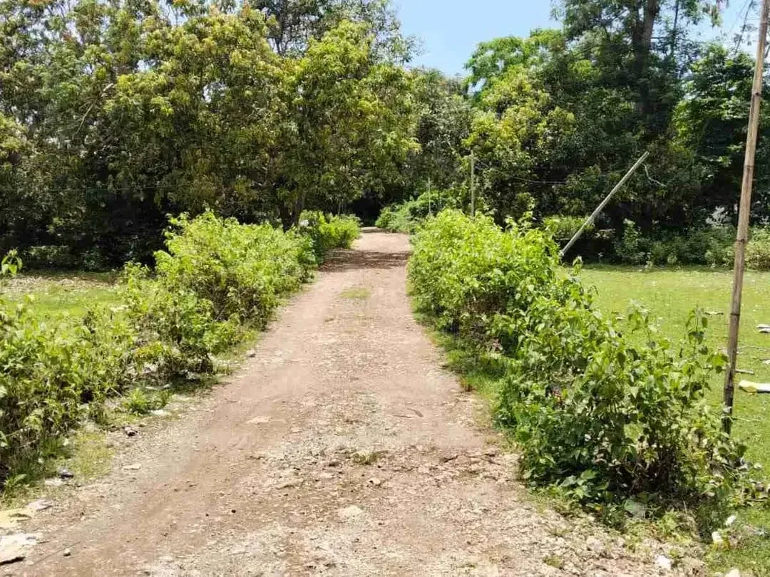 Tanah strategis dekat dengan Pantai Balangan dan Pantai Dreamland - Image 7 of 10