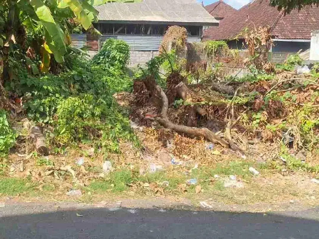 Di kontrakan tanah jalan Drupadi , Denpasar, Bali - Image 1 of 5