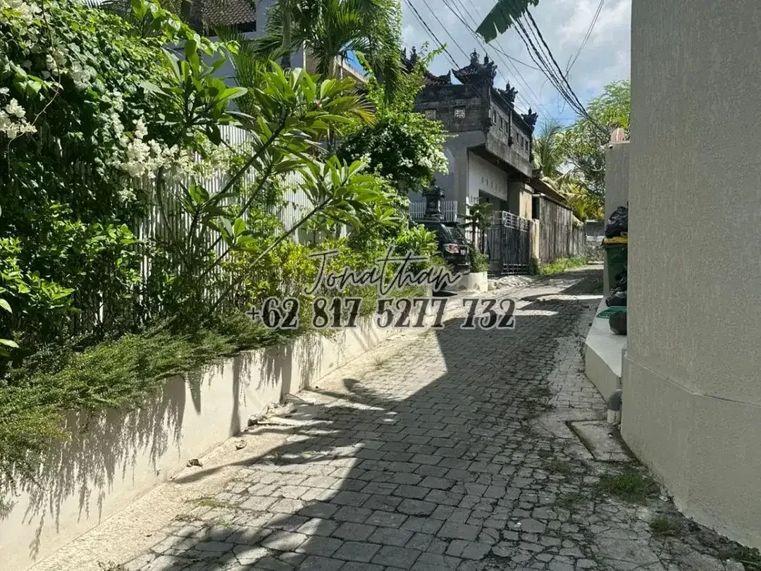 Disewakan Tanah 7,85 Are Zona Campuran di Pererenan Canggu Badung Bali - Image 9 of 10