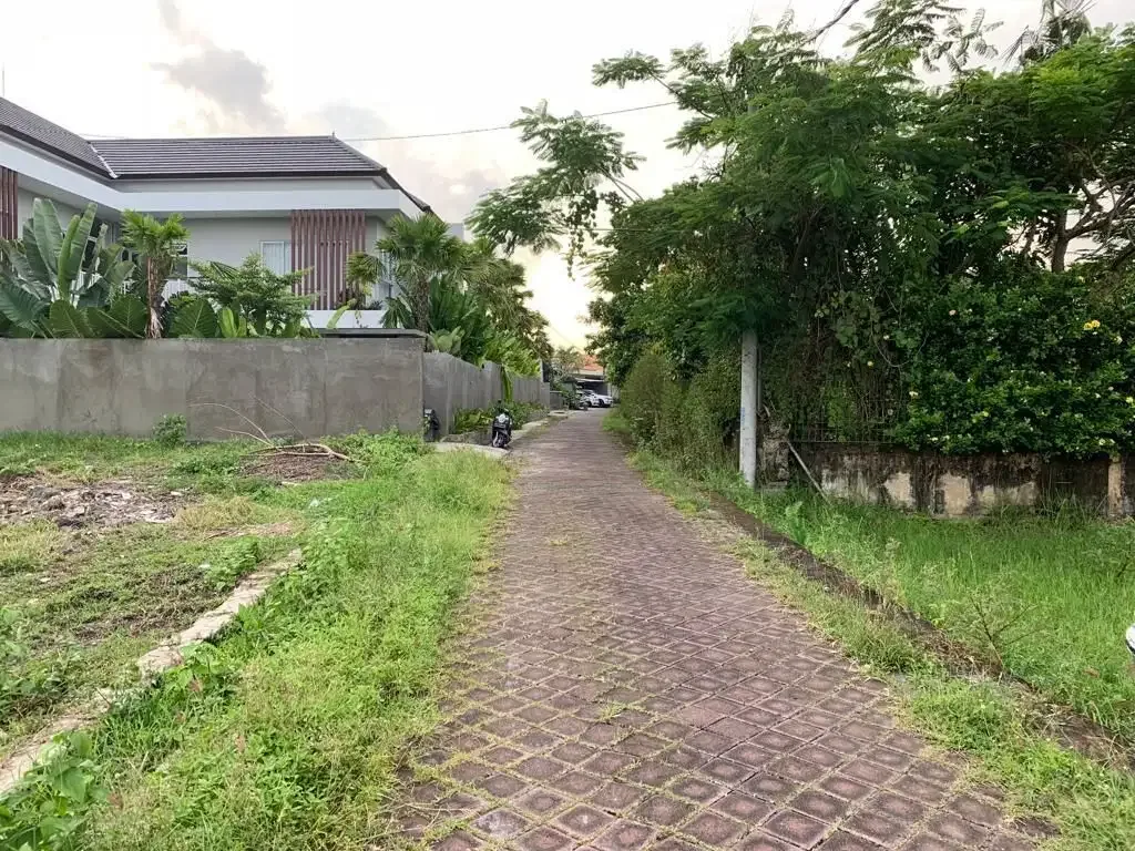 DIJUAL TANAH VIEW SAWAH LOKASI PERERENAN - Image 3 of 10