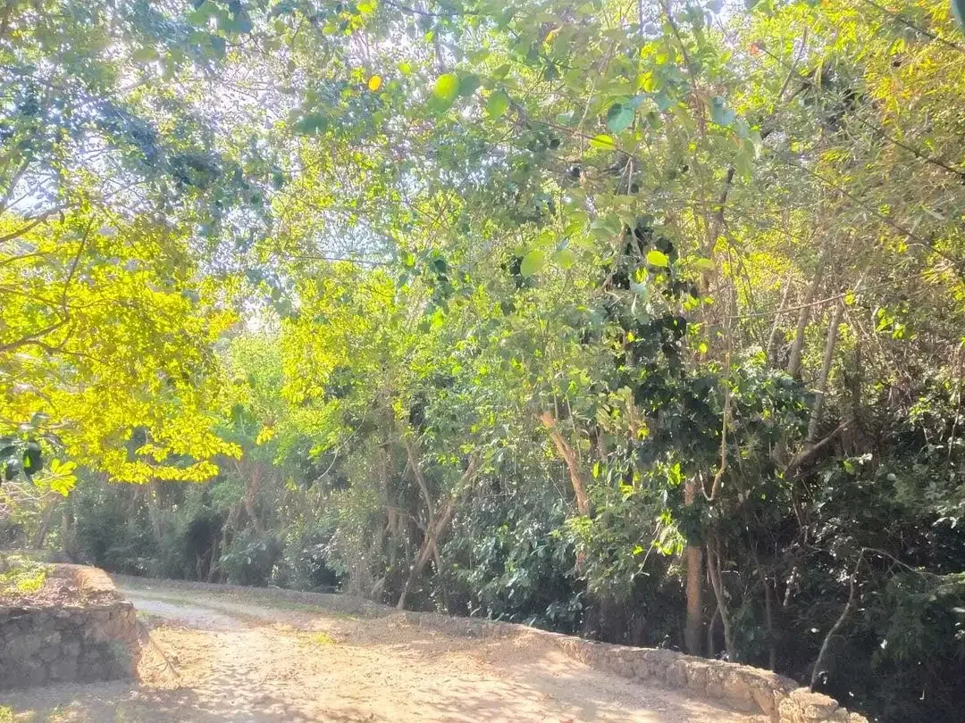 Cliff Land For Sale in Bali Cliff Tanah Tebing Bali Cliff - Image 9 of 10