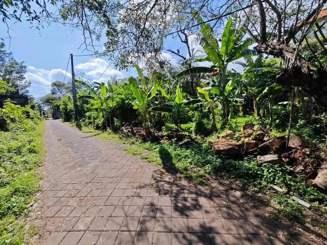 Tanah Lingkungan Villa Jl Gedong Sari Nusa Dua - Image 10 of 10