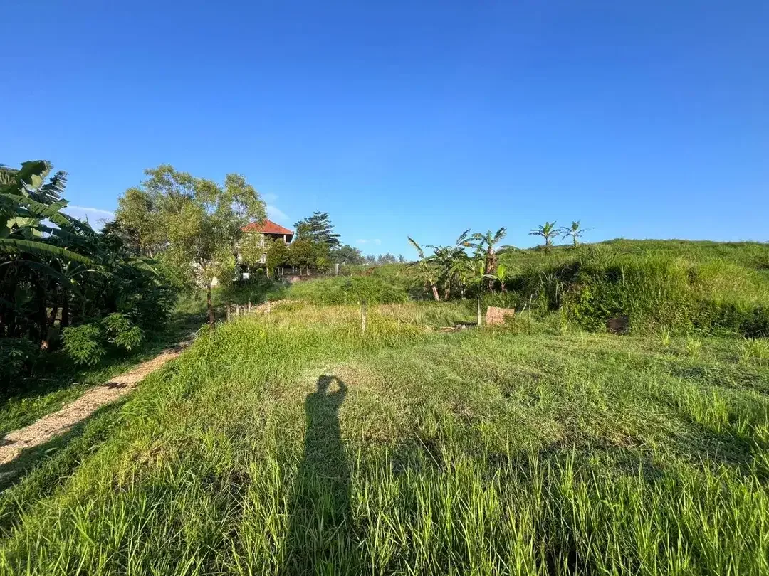 River Front Land For Sale Near Beji Waterfall - Image 3 of 10
