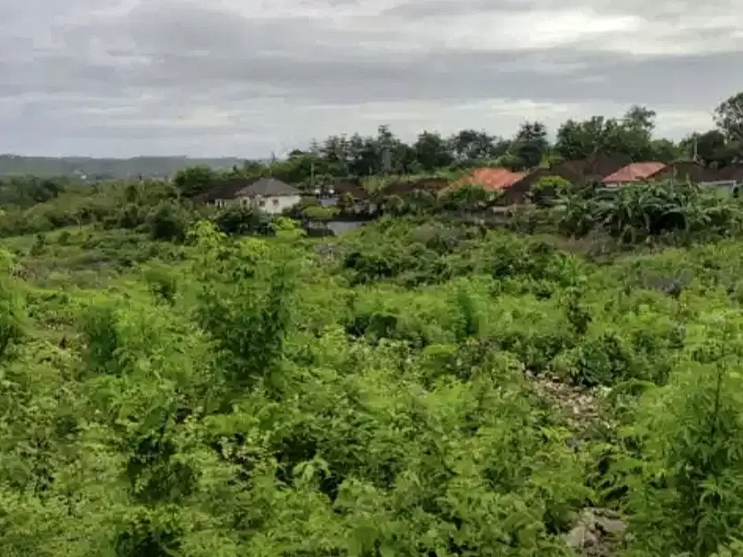 Tanah MURAH sebelah Ayana Resort Jimbaran - Image 6 of 10