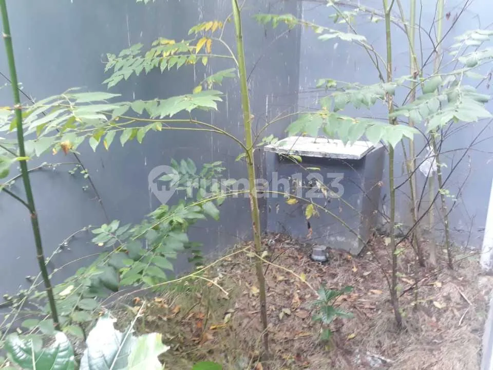 Dijual Cepat Ruko 2 Lantai Lokasi Renon Denpasar - Image 4 of 4