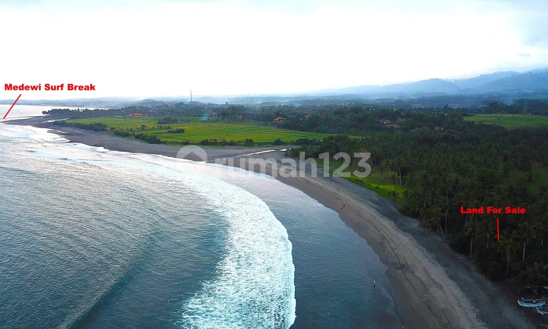Medewi Absolut Beachfront - Image 2 of 4