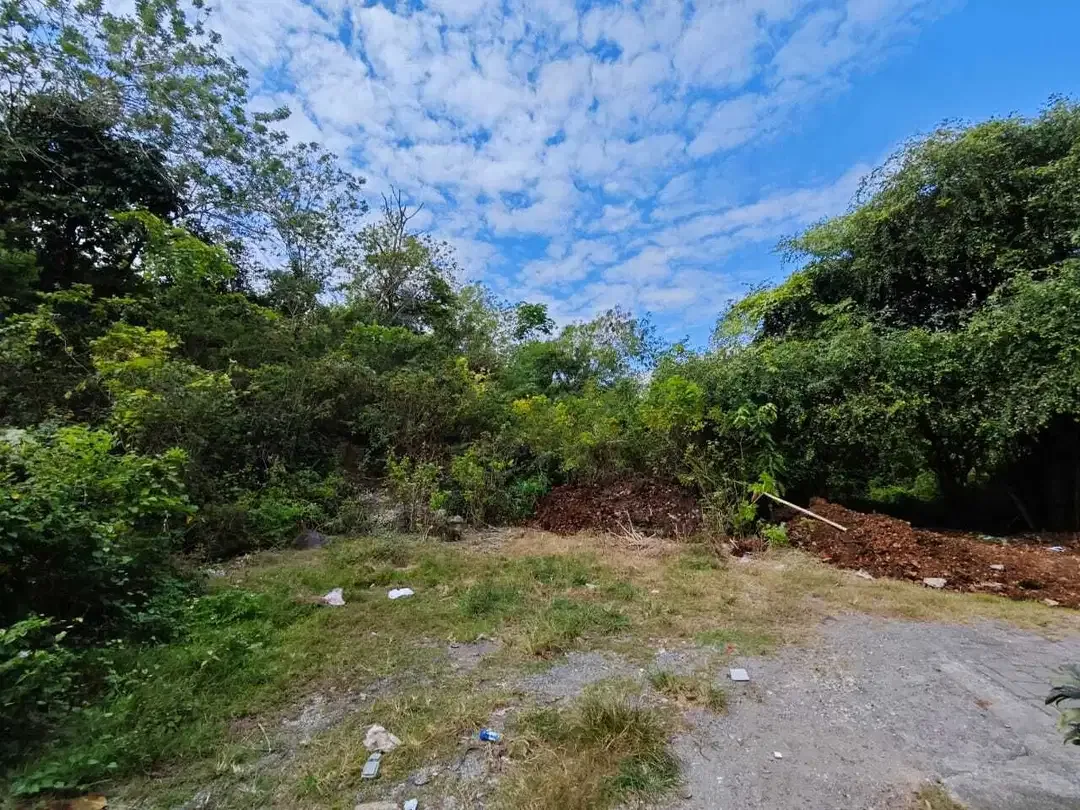 Tanah TERMURAH Strategis Jl Dharmawangsa Pantai Pandawa - Image 3 of 10