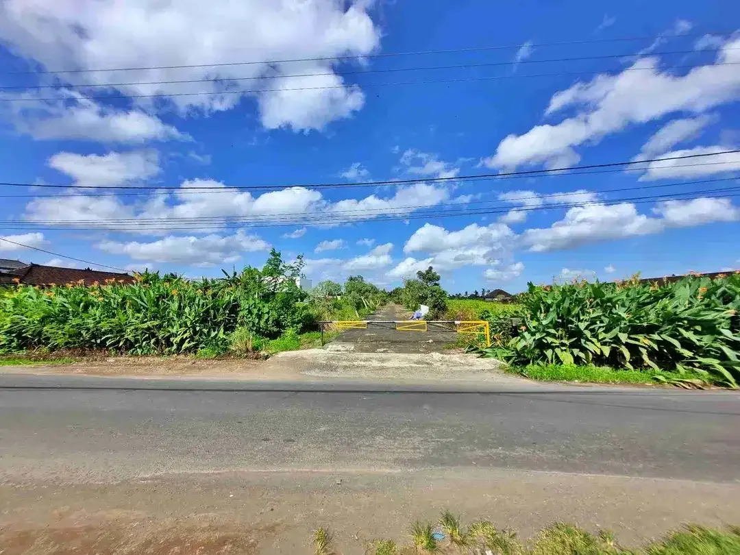 Tanah Premium 500m² Surf Area Kedungu - Image 7 of 10