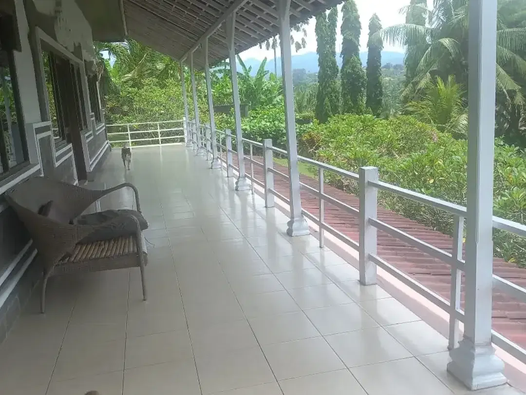 Villa for Sale  Absolute Nature Retreat in Medewi Beach, West Bali - Image 8 of 9